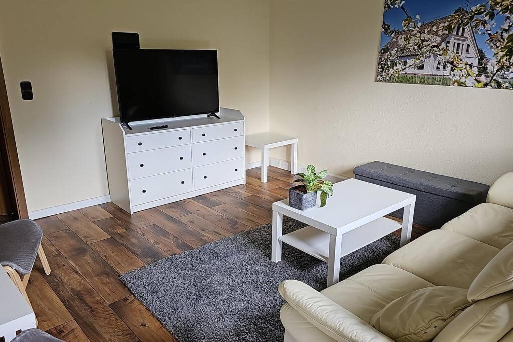 TV a/nebo společenská místnost v ubytování Cityappartement am Kirschberg