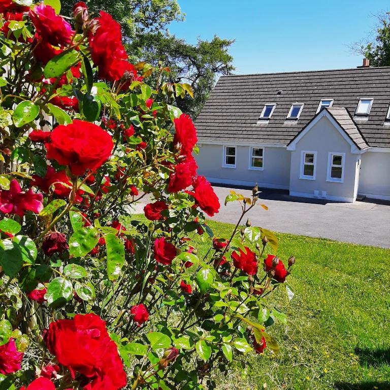 Zahrada ubytování Abhainn Ri Cottages
