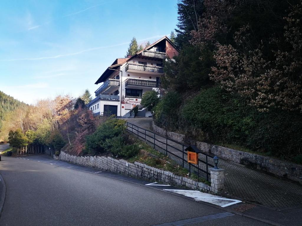 a house on the side of a hill with a road at Haus Schwarzwaldblick in Hornberg