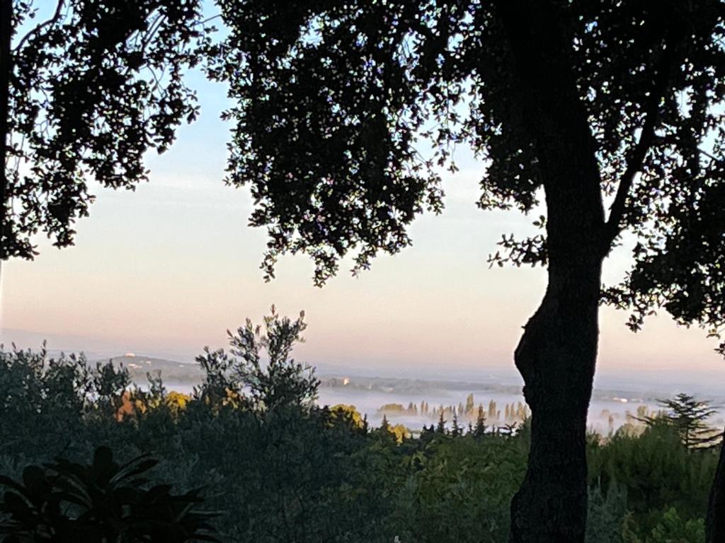 una vista del océano desde un árbol en Les restanques Paradou, en Lagnes