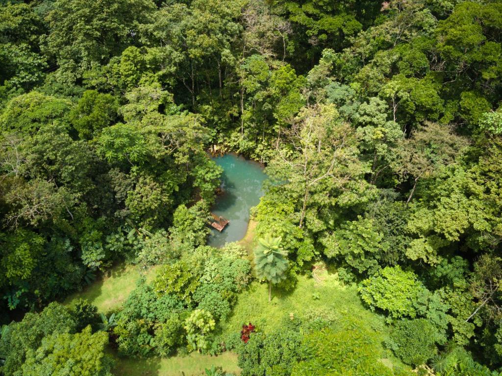 an aerial view of a lake in the middle of a forest at Santuario de Ranas - Explora nuestro paraíso natural in San Lorenzo