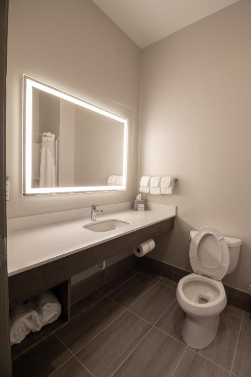 Holiday Inn Express Leland - Wilmington Area by IHG - King Room - Hearing Accessible - Non-Smoking