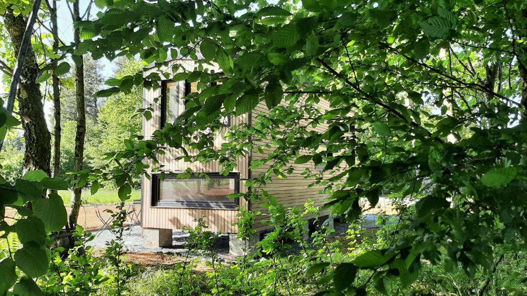 una piccola casa in legno in mezzo agli alberi di Tiny Gaumaise - Tiny house à Saint-leger a Saint-Léger