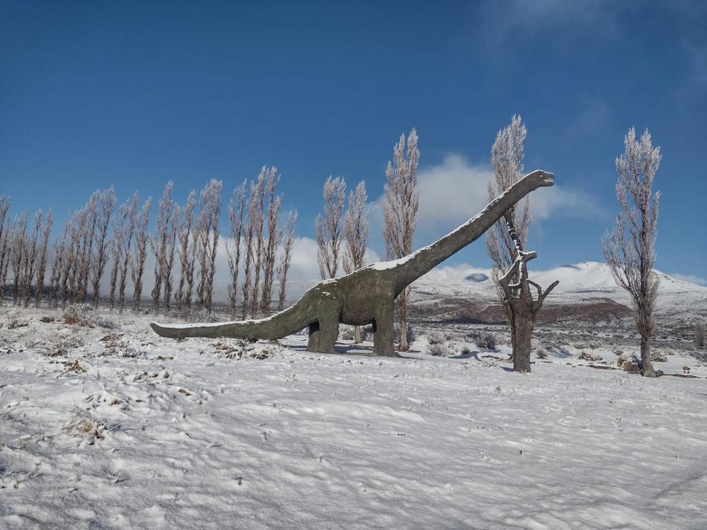 Descanso cordillerano llano blanco