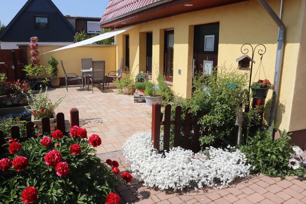 a garden with red and white flowers in front of a house at Gasthaus Wini in Wanzleben