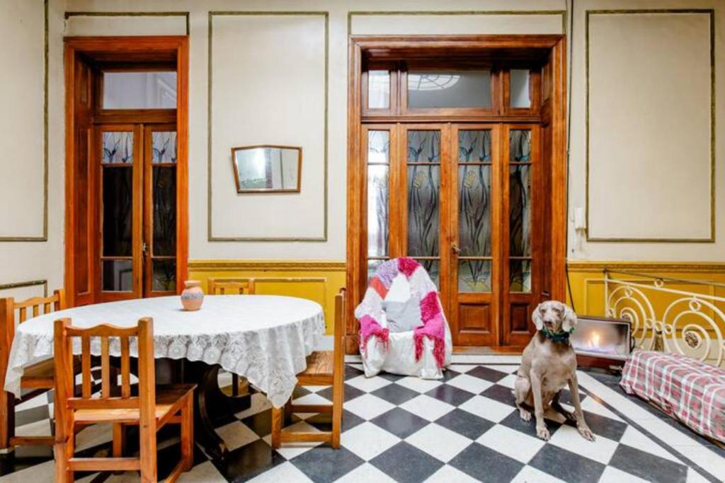un perro sentado en el suelo en una habitación con una mesa en Dante y compañía en Buenos Aires