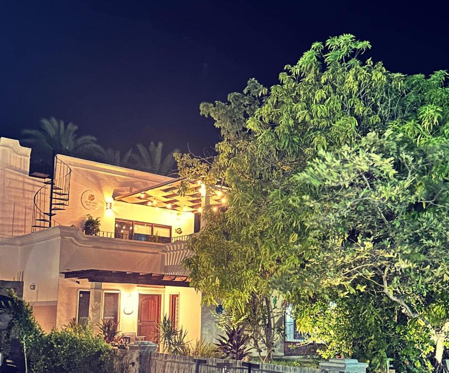 a house with a tree in front of it at night at Casa Las Victorias in Loreto