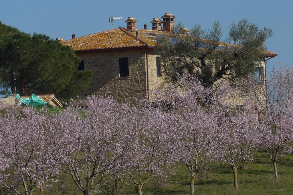 una casa con árboles púrpuras delante de ella en Agriturismo Il Sassolino, en Ripalvella