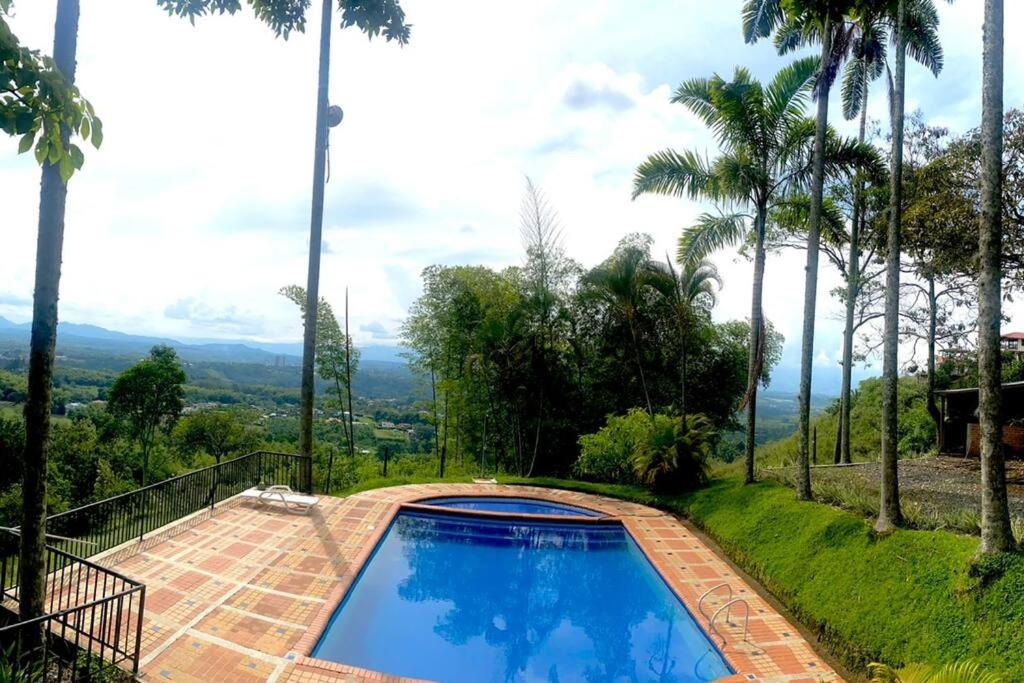 a swimming pool in a yard with palm trees at Espectacular casa campestre in Pereira