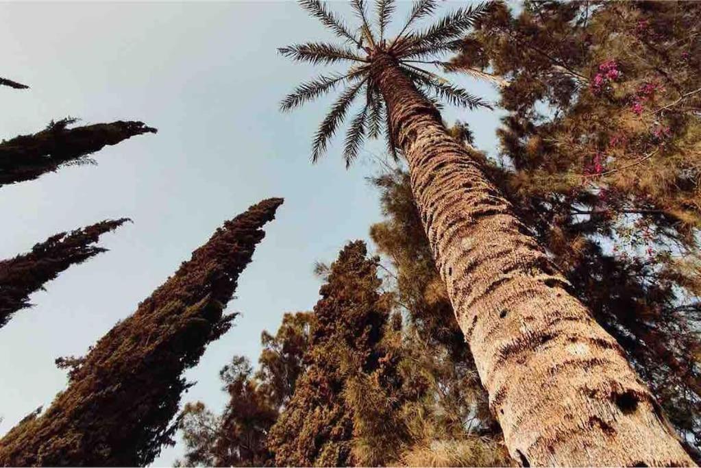Fotografie z fotogalerie ubytování Villa piscine Agadir v destinaci Agadir