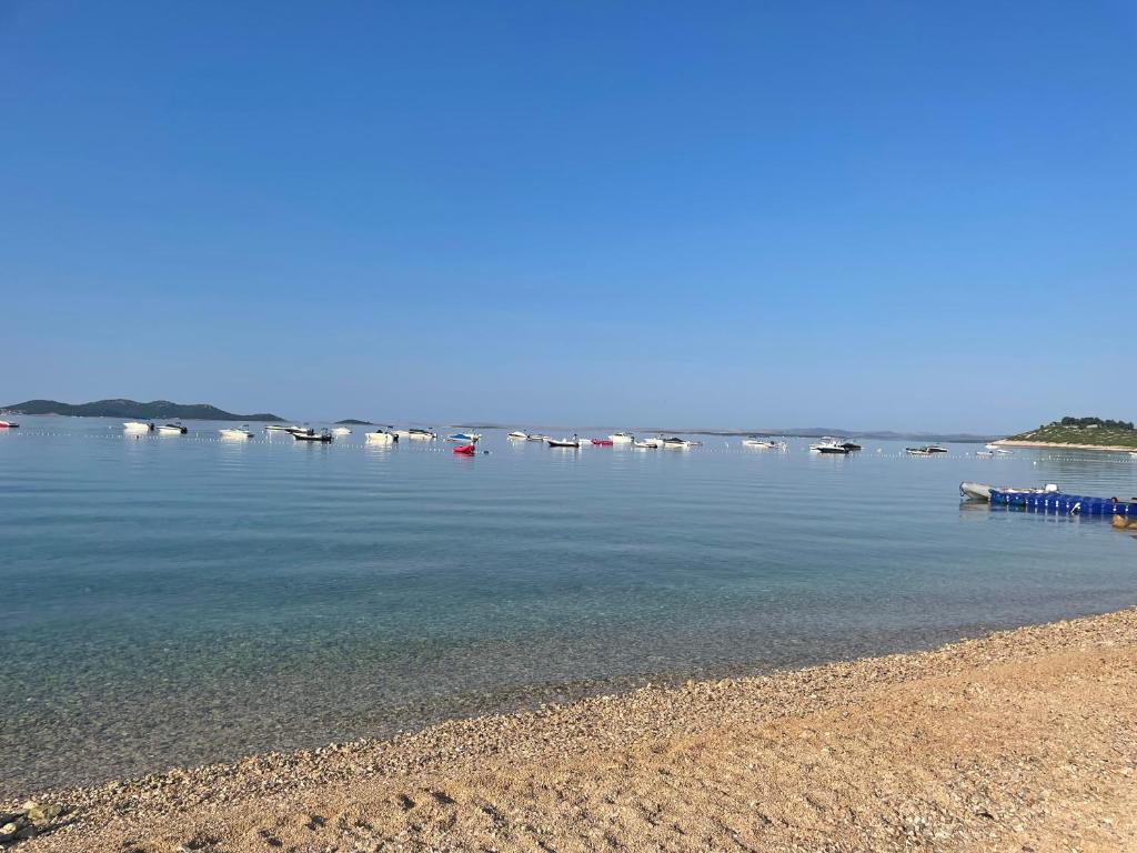 eine Gruppe von Booten im Wasser in der Nähe eines Strandes in der Unterkunft Mobile homes Barka in Pakoštane