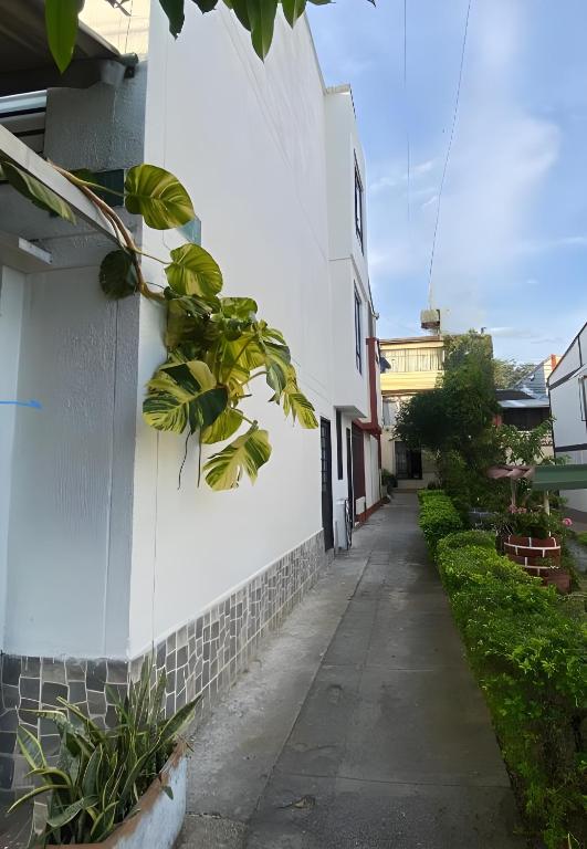 a white building with a plant next to a sidewalk at BORA - Apto 101Tu espacio fuera de casa in Ibagué