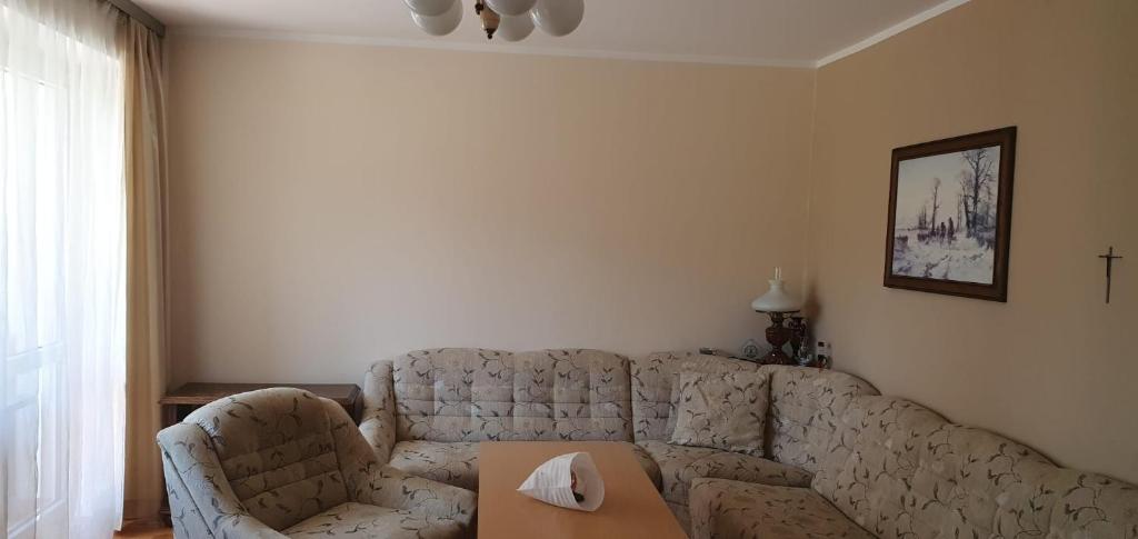 ein Wohnzimmer mit einem Sofa und einem Tisch in der Unterkunft Przytulne mieszkanie m3 Gorlice in Gorlice