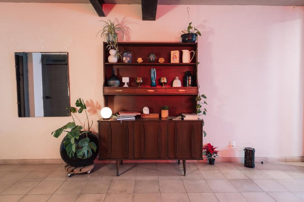 Cette chambre dispose d'un bureau et d'une étagère avec des plantes. dans l'établissement Casa San Fernando by Barrio México, à Guadalajara