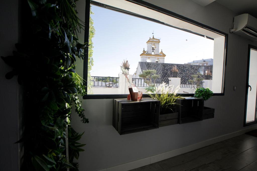 Ático Casa Lola - 2