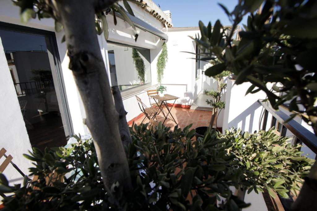 Ático Casa Lola - 9