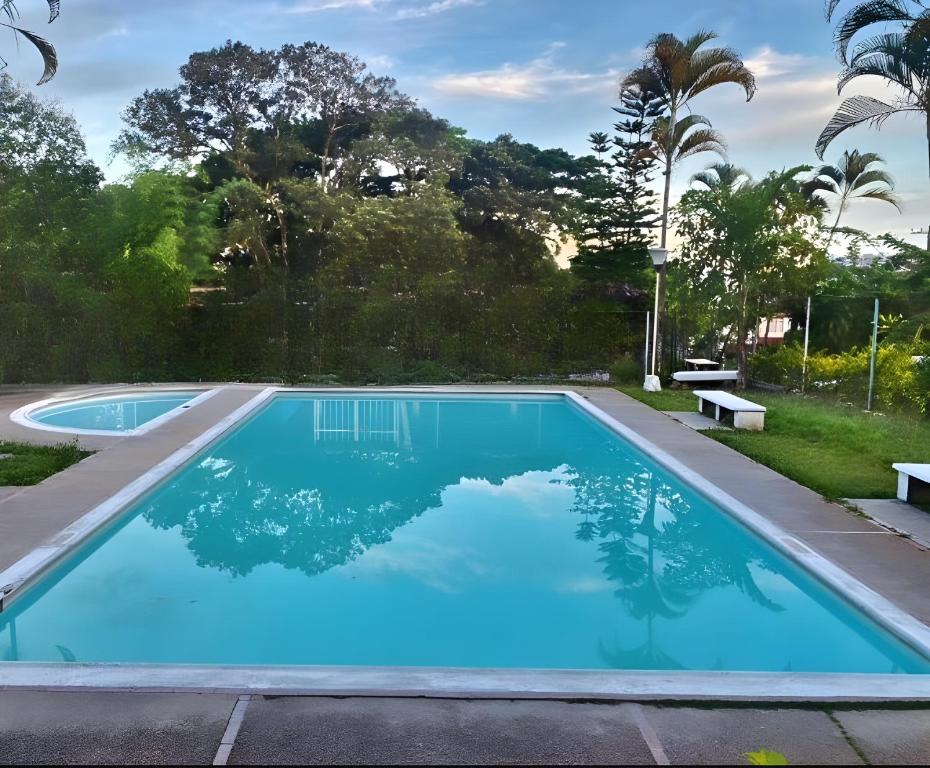 una piscina con agua azul y palmeras en BORA, Apto 301 Tu Espacio Fuera de Casa, en Ibagué