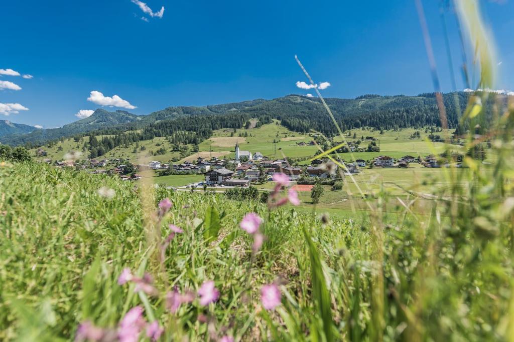 Táj Show holiday homes közelében