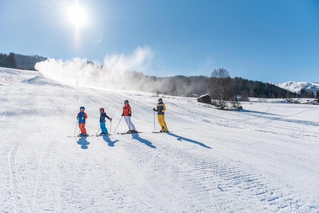 Skiing at the holiday home or nearby