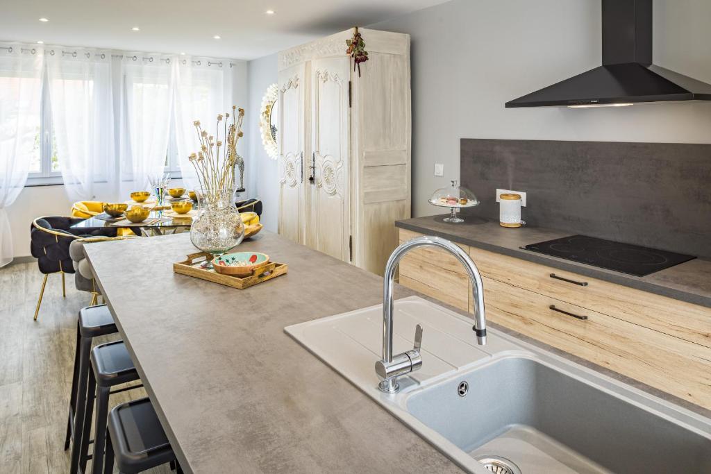 a kitchen with a sink and a counter at Le Flamboyant - Confort &amp; Rareté - Premium in Saint-André-les-Vergers