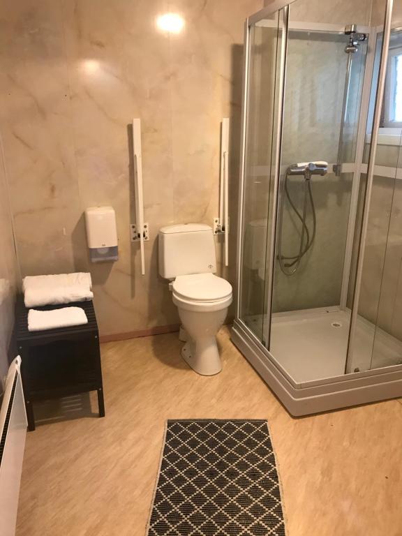 ein Bad mit einem WC und einer Dusche in der Unterkunft Leirvik Vandrehjem in Leirvik
