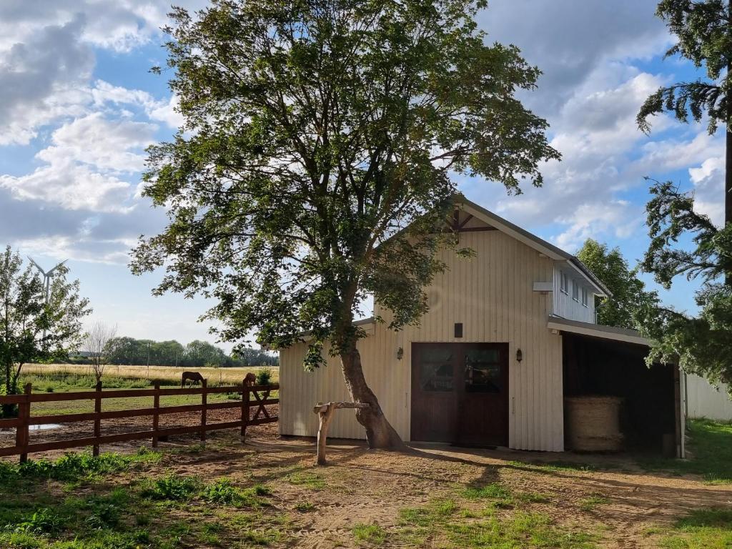 a barn with a tree in front of it at Scheune in Ostseenähe auch mit Pferd in Ducherow