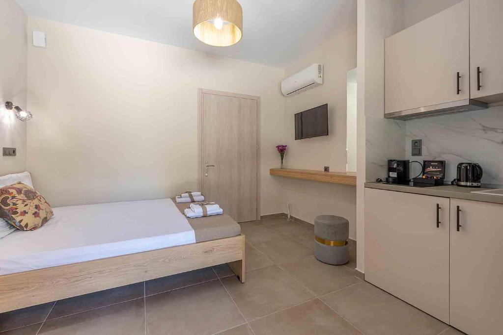 Kuchyň nebo kuchyňský kout v ubytování Fragkos Doukas Rooms
