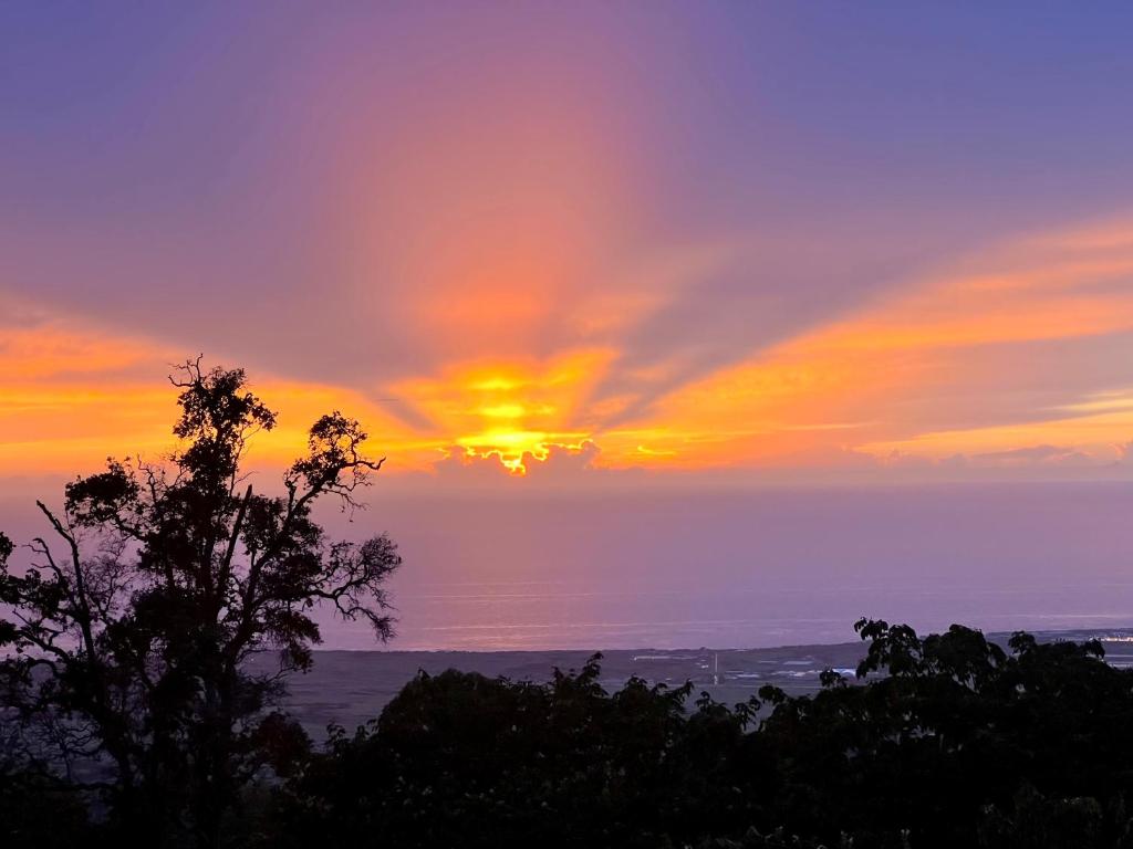 un coucher de soleil sur l'océan avec un arbre au premier plan dans l'établissement Mango Sunset Bed and Breakfast, à Kailua-Kona