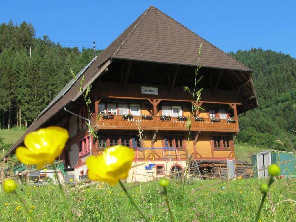 una gran casa de madera en un campo con flores amarillas en Wäldebauernhof, en Gutach