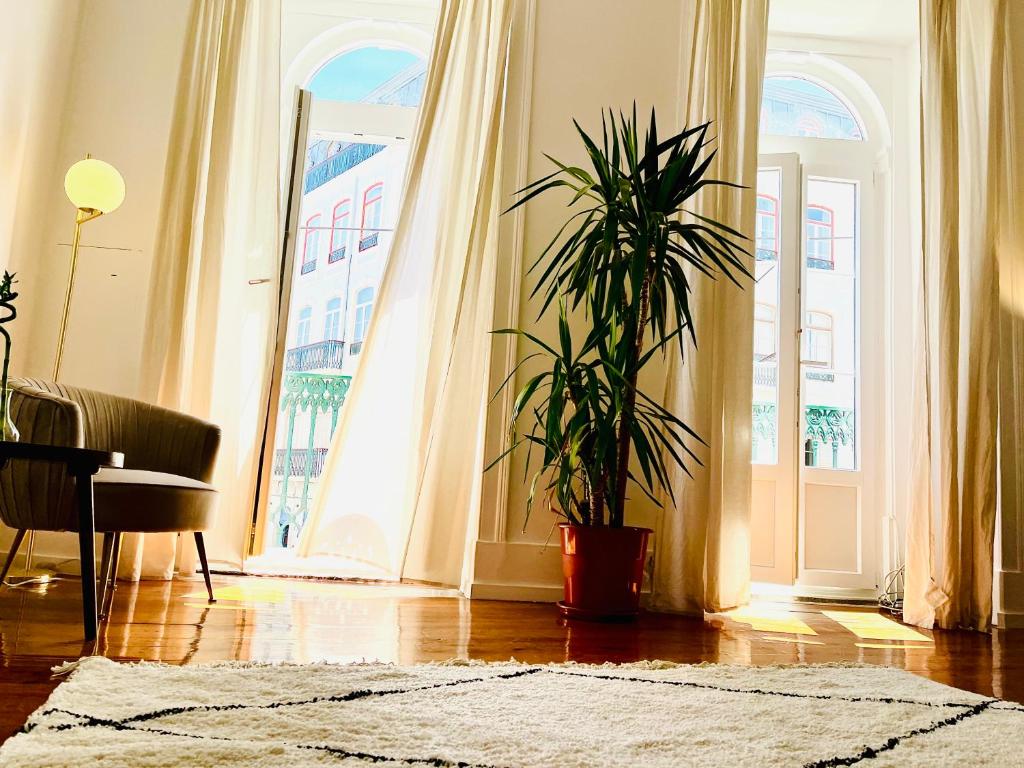 een woonkamer met een potplant voor de ramen bij Royal Prince Apartments - Jardim do Príncipe Real in Lissabon