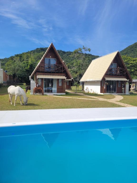 a white horse grazing in front of a house at Villa Park Chalés - A sua fazendinha ao lado do Beto Carrero in Penha