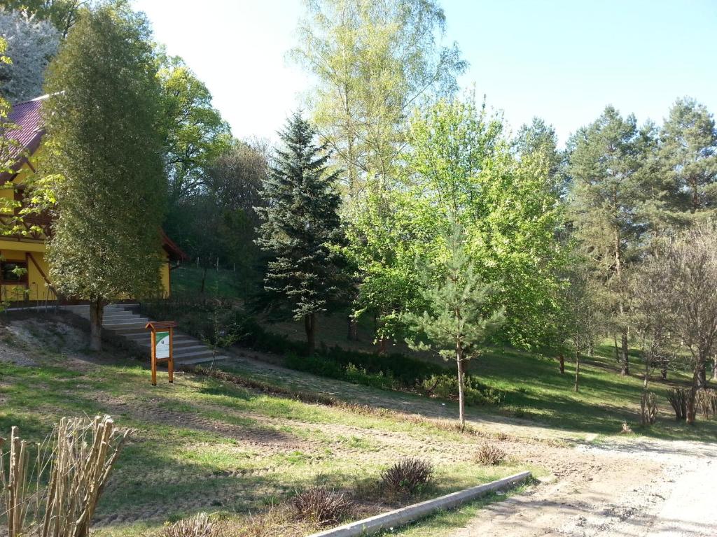 Příroda nedaleko penzionu