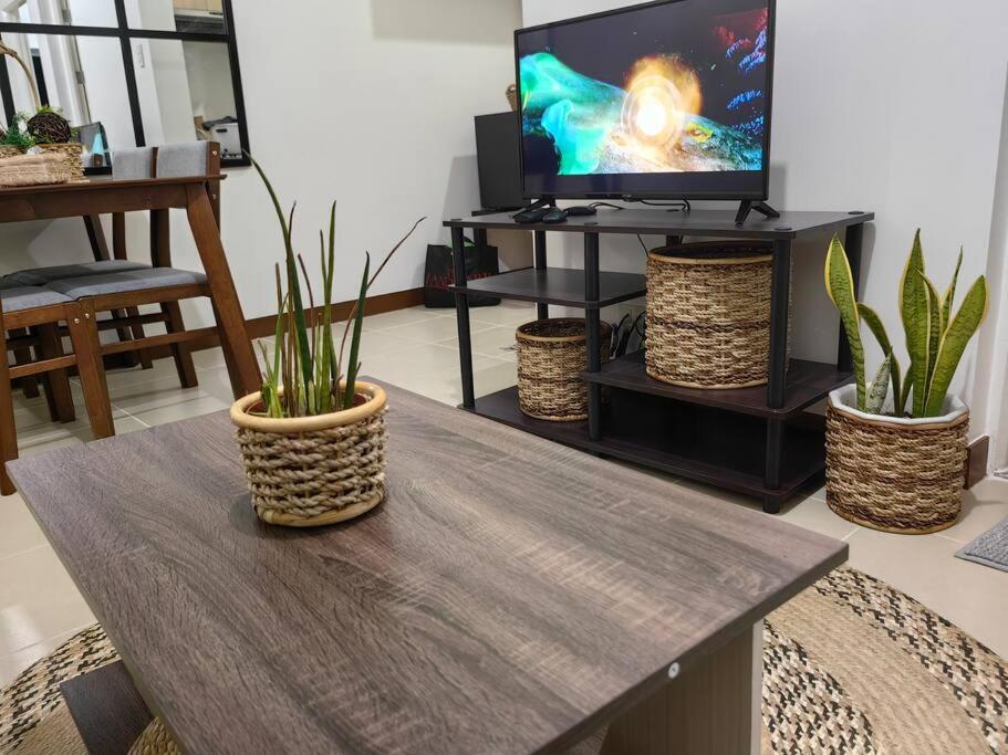 a living room with three potted plants on a table at Infina Towers Cozy 2bedroom Condo in Manila
