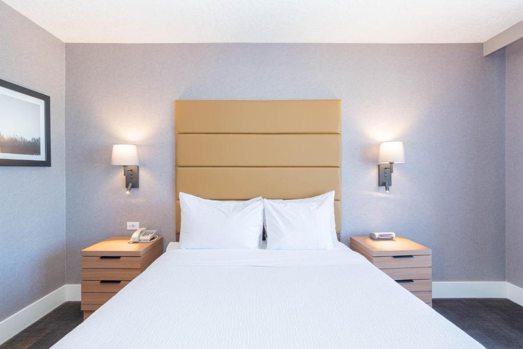 Sandman Hotel Victoria - Resim 10