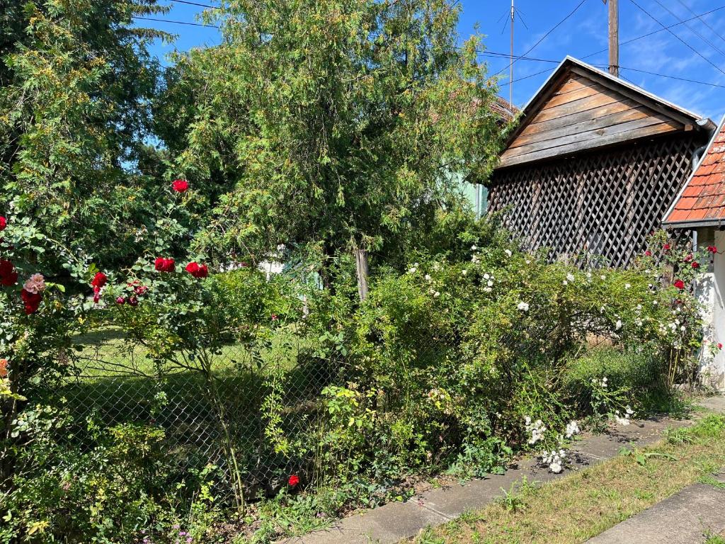 een tuin met bloemen en een hek en een gebouw bij Kobran in Kuršumlija