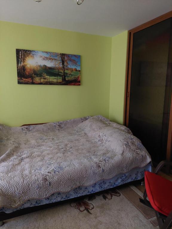 ein Schlafzimmer mit einem Bett mit einem Bild an der Wand in der Unterkunft Fely Room in Petroşani