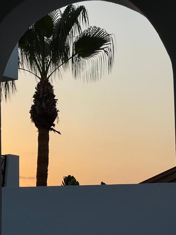 een palmboom met de zonsondergang op de achtergrond bij Casa Palmera in Palomares
