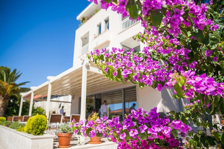 kupę fioletowych kwiatów przed budynkiem w obiekcie Hotel Casa del Mare - Blanche w mieście Herceg Novi