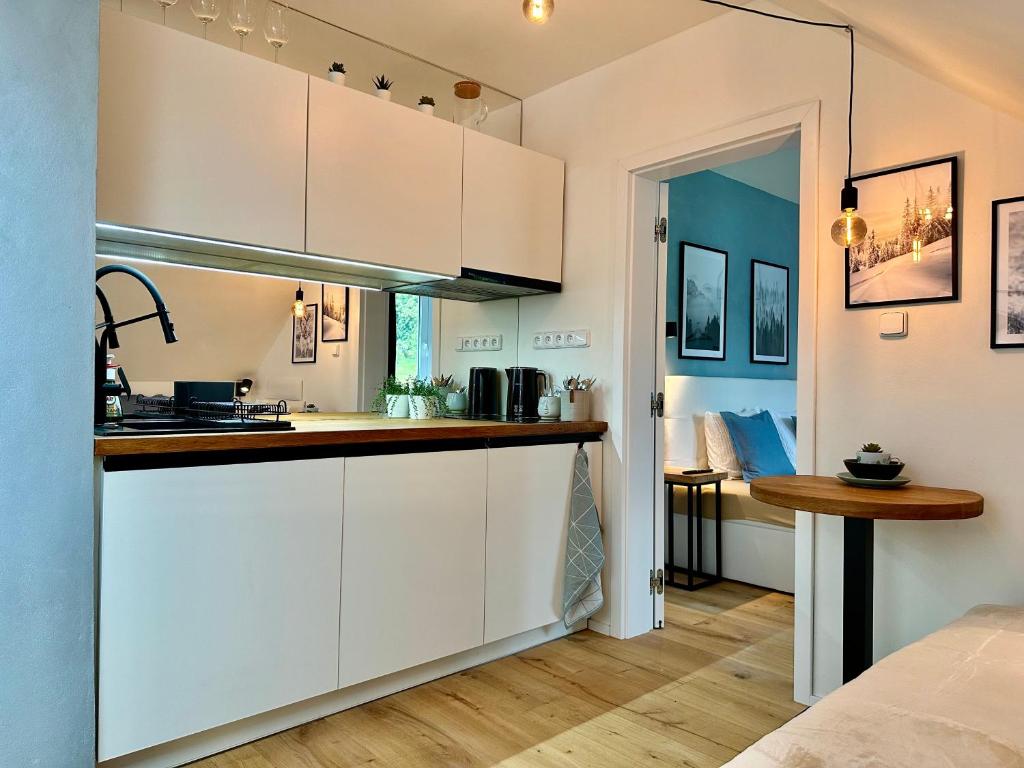 Kuchyň nebo kuchyňský kout v ubytování Molinaro Apartmány Jeseníky