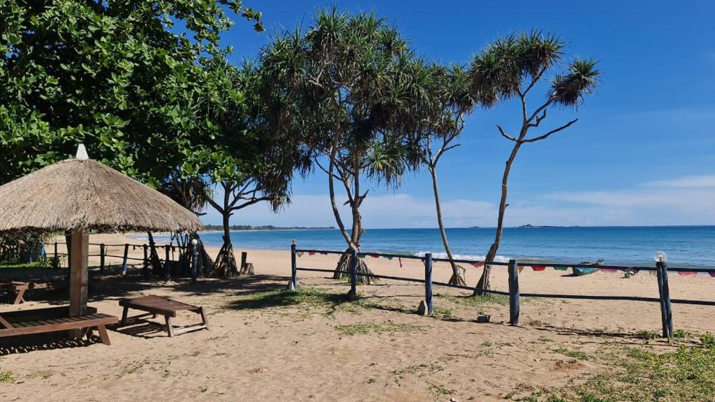 una spiaggia con panchina e alberi e l'oceano di Blissbay @ the rock a Nilaveli