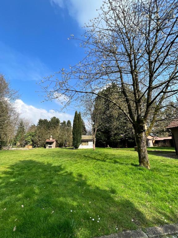 Zahrada ubytování Panoramic Bungalow Sint Gillis-Waas