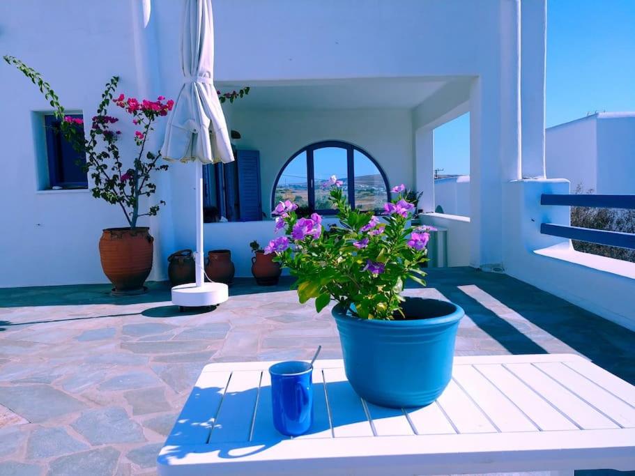 a patio with flowers in a blue pot and an umbrella at Serene, spacious Paros getaway in Drios