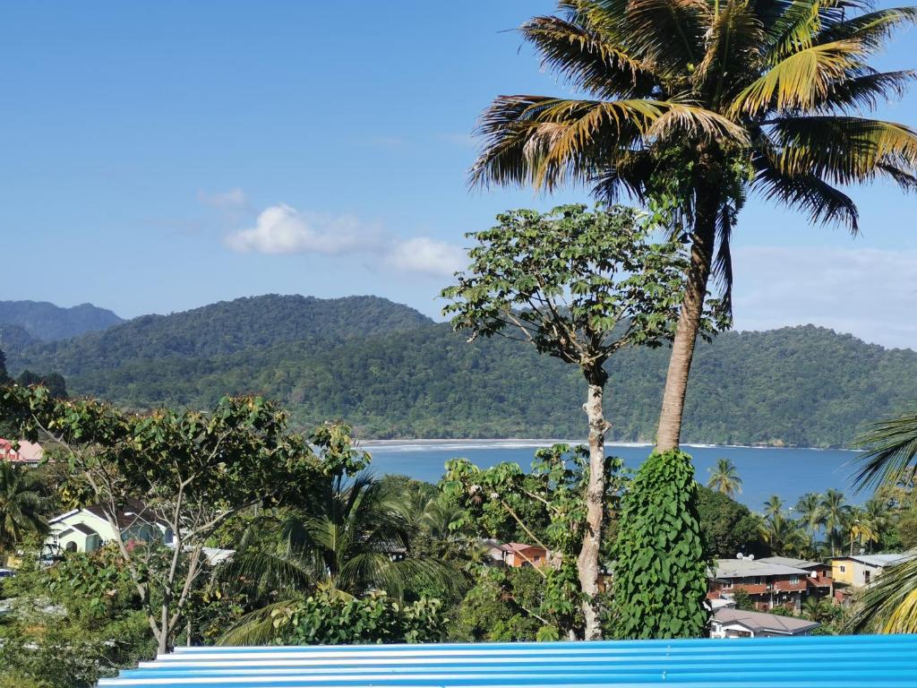 een palmboom en uitzicht op het water bij Karibik Trinidad Ocean few guesthouse in Las Cuevas