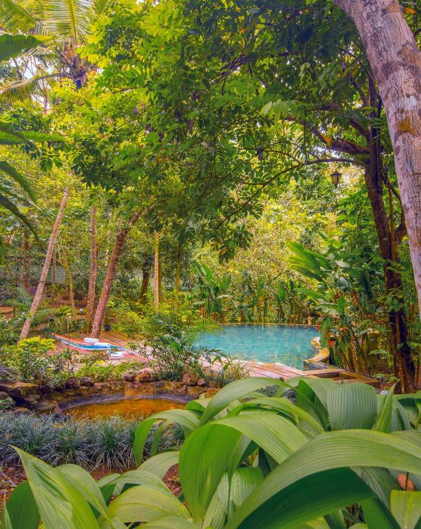 Zahrada ubytování Wild Nest Villa Unawatuna