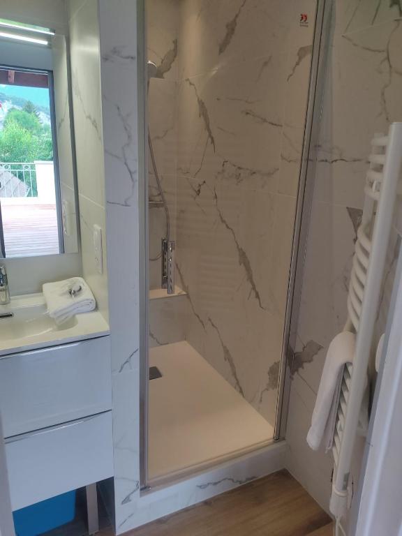 a bathroom with a shower with a sink and a mirror at Amélia Appartement Saint-Jorioz in Saint-Jorioz