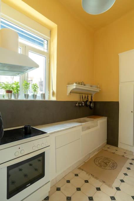 Kuchyň nebo kuchyňský kout v ubytování Casanova94 Guesthouse