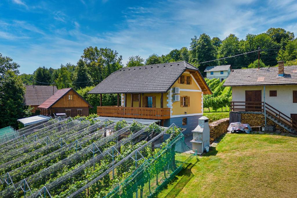 un gran jardín con una casa y un invernadero en Vineyard Cottage Stepan - Happy Rentals en Črnomelj