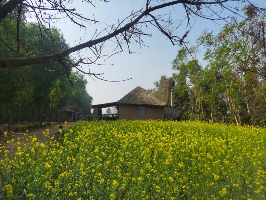 Birbhum Greens: Nature's Retreat