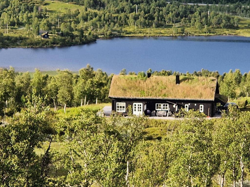 a house with a grass roof on a hill next to a lake at Guroli - Mountain Lodge in Torvetjørn