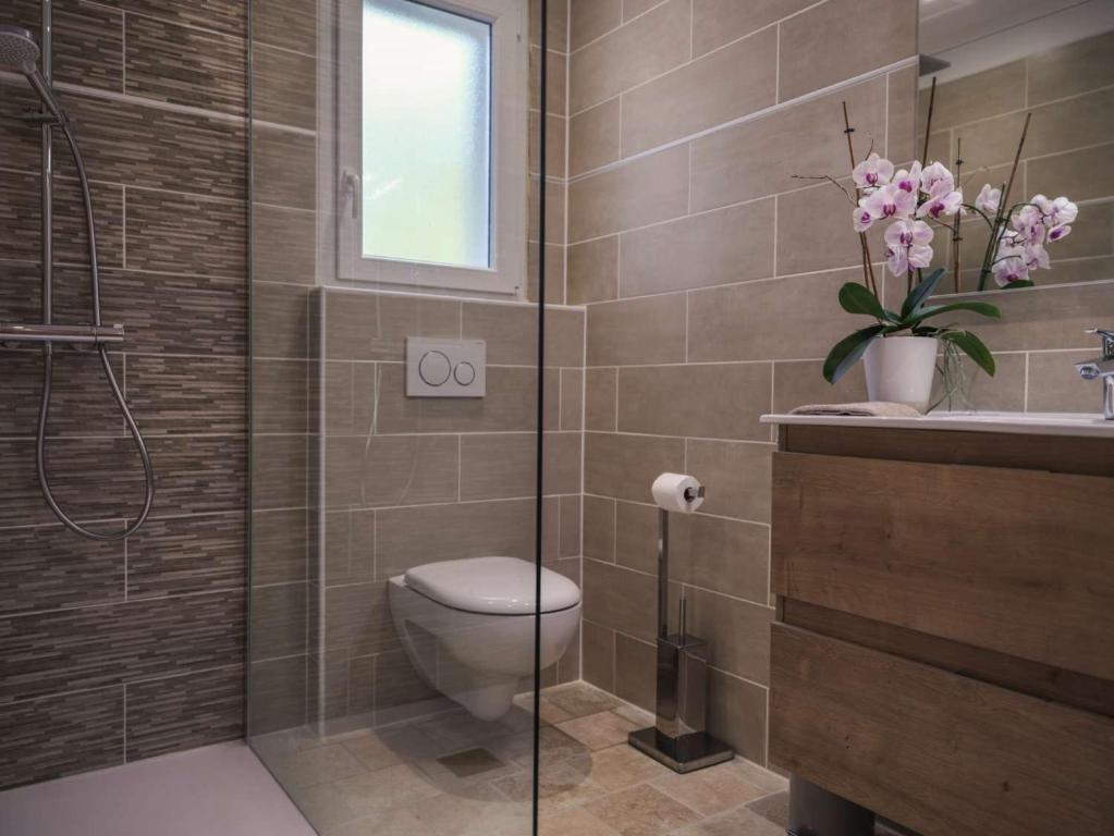 a bathroom with a toilet and a glass shower at Villa Maurine - Piscine chauffée - Spa - Clim - Salle de Fitness in Castelnau-de-Montmiral